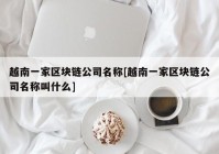 越南一家区块链公司名称[越南一家区块链公司名称叫什么]